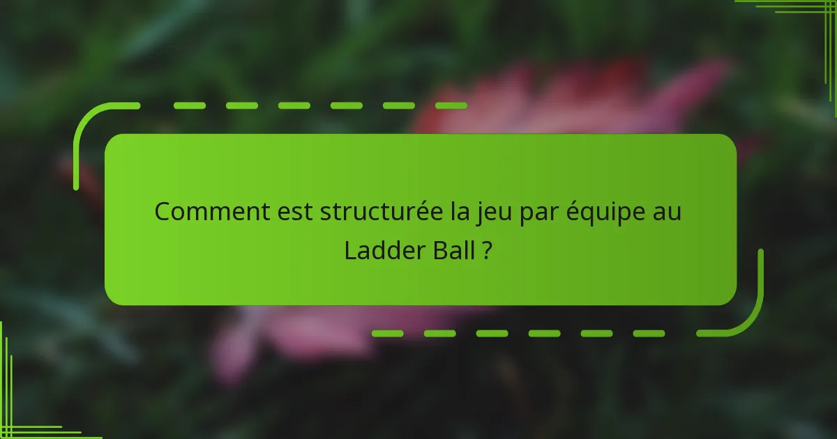 Comment est structurée la jeu par équipe au Ladder Ball ?