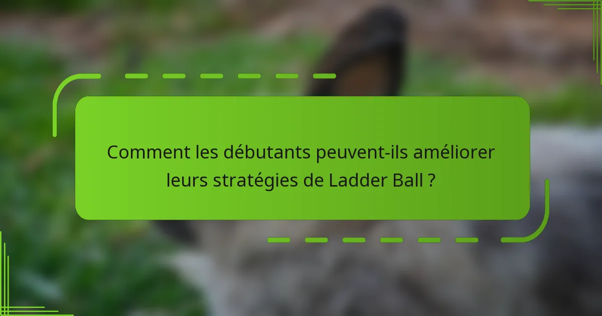 Comment les débutants peuvent-ils améliorer leurs stratégies de Ladder Ball ?