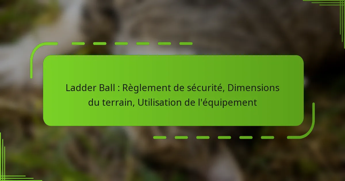 Ladder Ball : Règlement de sécurité, Dimensions du terrain, Utilisation de l’équipement