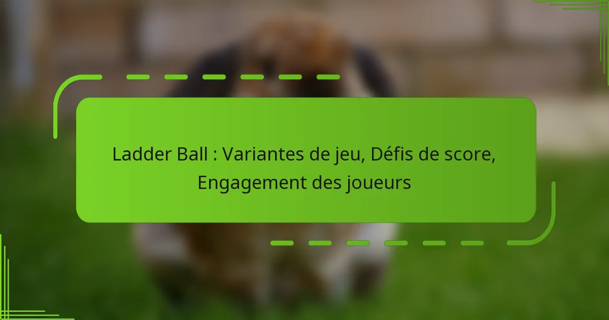 Ladder Ball : Variantes de jeu, Défis de score, Engagement des joueurs