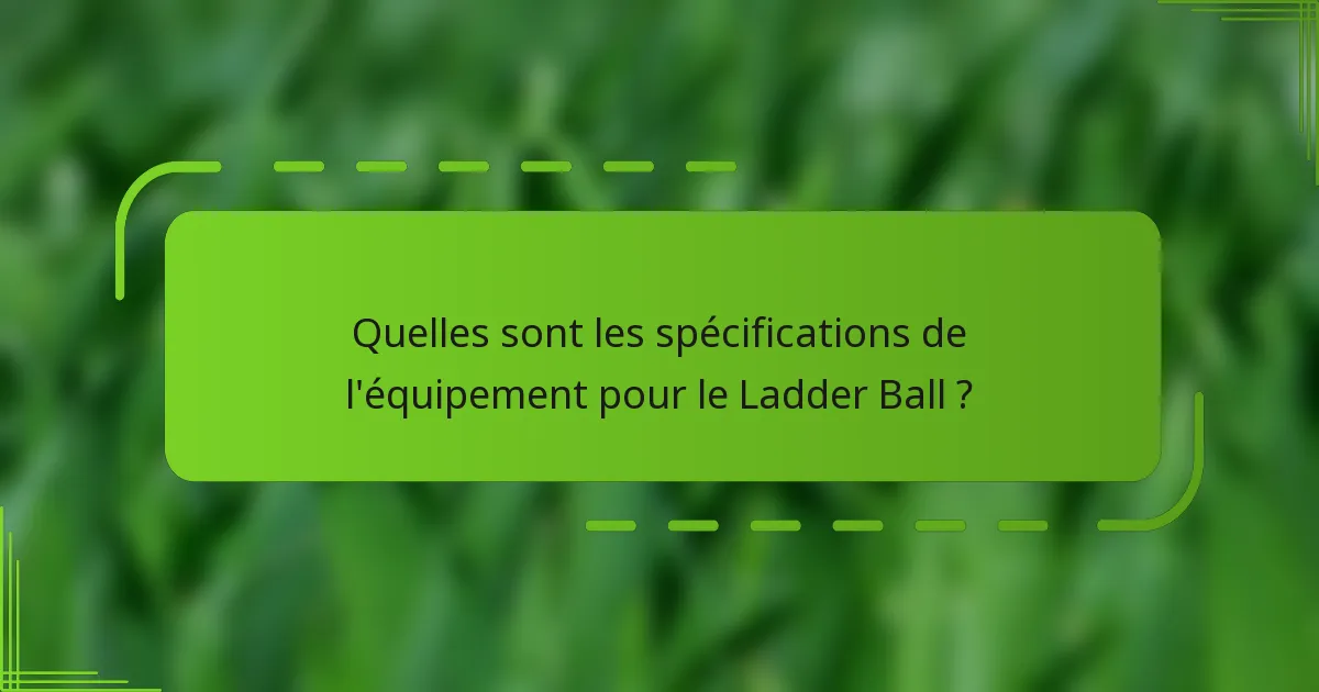 Quelles sont les spécifications de l'équipement pour le Ladder Ball ?