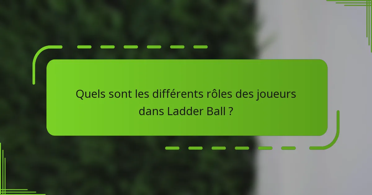 Quels sont les différents rôles des joueurs dans Ladder Ball ?