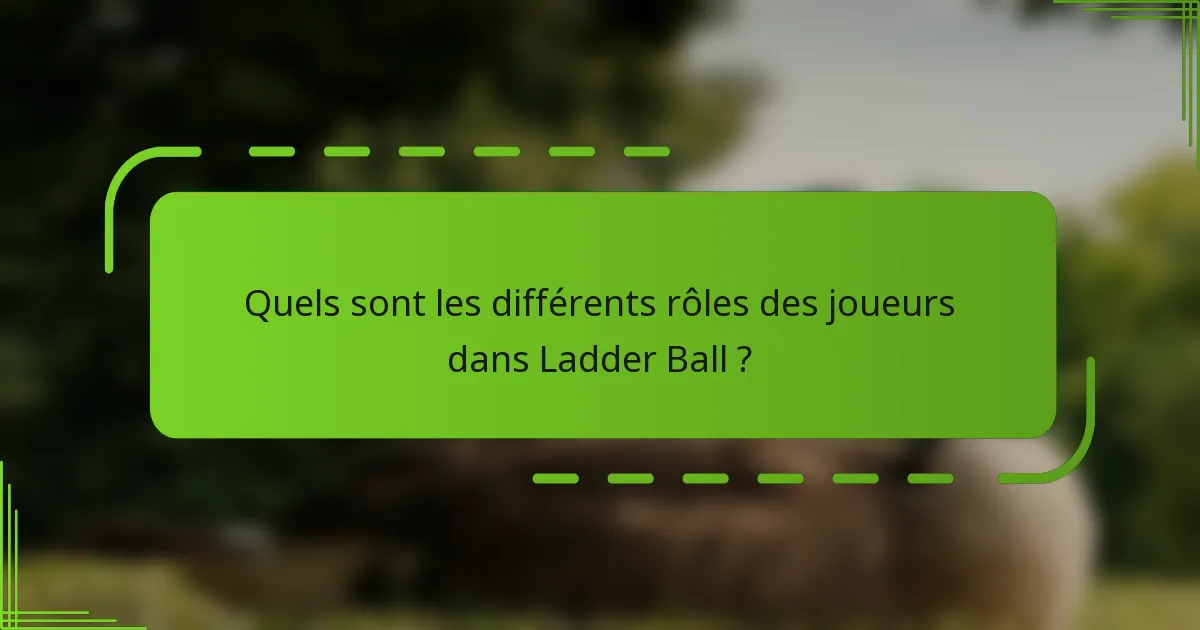 Quels sont les différents rôles des joueurs dans Ladder Ball ?